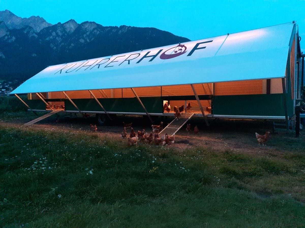 Hühner-Mobilstall auf der Weide im Abendlicht